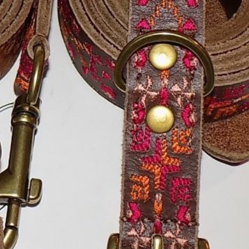 Lucky Brand Dog Collar and Leash Set